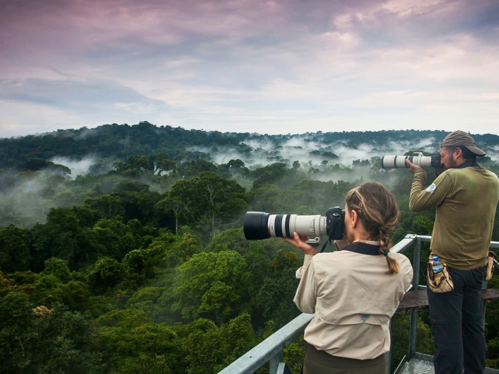 Tourists on an observation tower using large cameras and binoculars for wildlife observation in the Brazilian Amazon. Tourists on an observation tower using large cameras and binoculars for wildlife observation in the Brazilian Amazon.