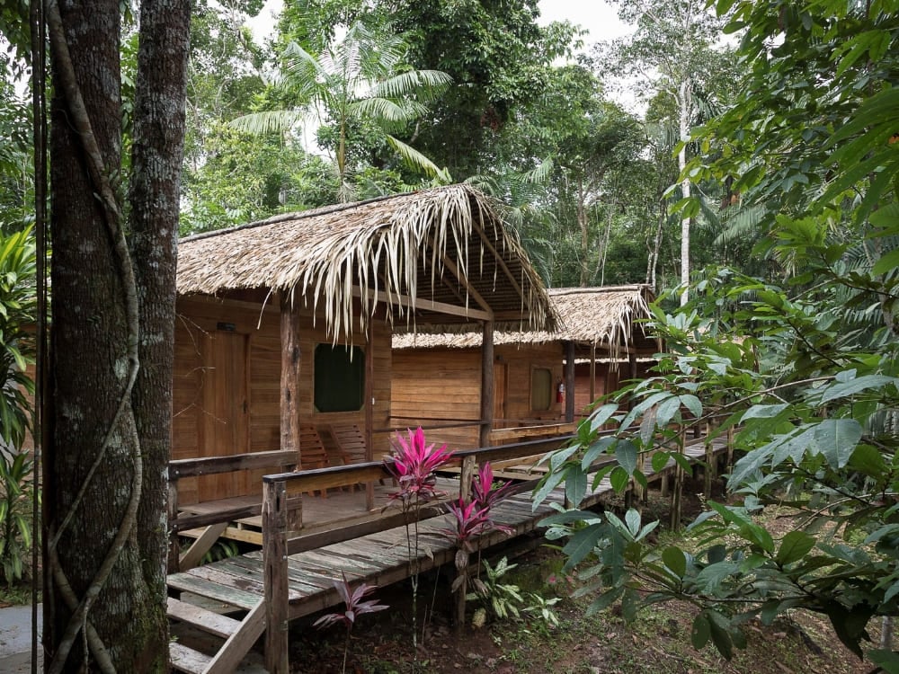 Wooden chalets with thatched roofs connected by a walkway at Dolphin Lodge, a great Amazon rainforest hotel. Wooden chalets with thatched roofs connected by a walkway at Dolphin Lodge, a great Amazon rainforest hotel.