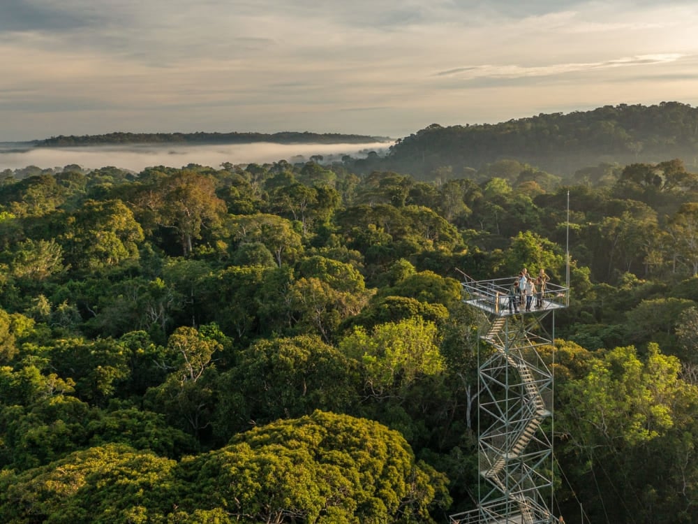 Tourists stand on an observation tower above the canopy at Cristalino Lodge, a top Amazon rainforest hotel. Tourists stand on an observation tower above the canopy at Cristalino Lodge, a top Amazon rainforest hotel.