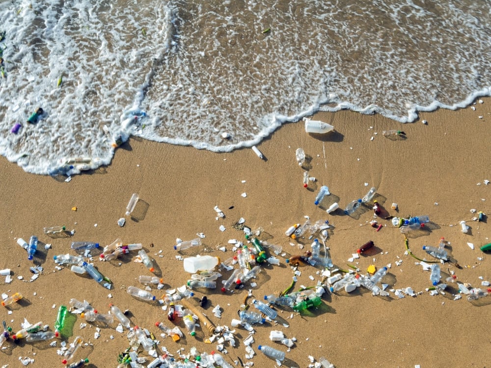 Fernando de Noronha Plastic-free Fernando de Noronha Plastic-free