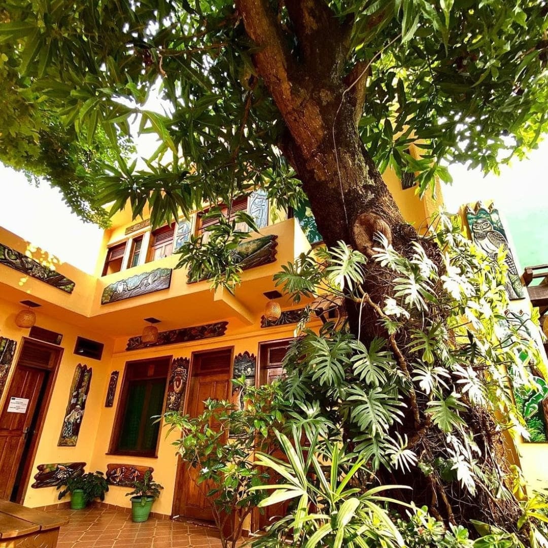 Exterior view of the yellow Hostel Manaus building shaded by large green trees. Exterior view of the yellow Hostel Manaus building shaded by large green trees.
