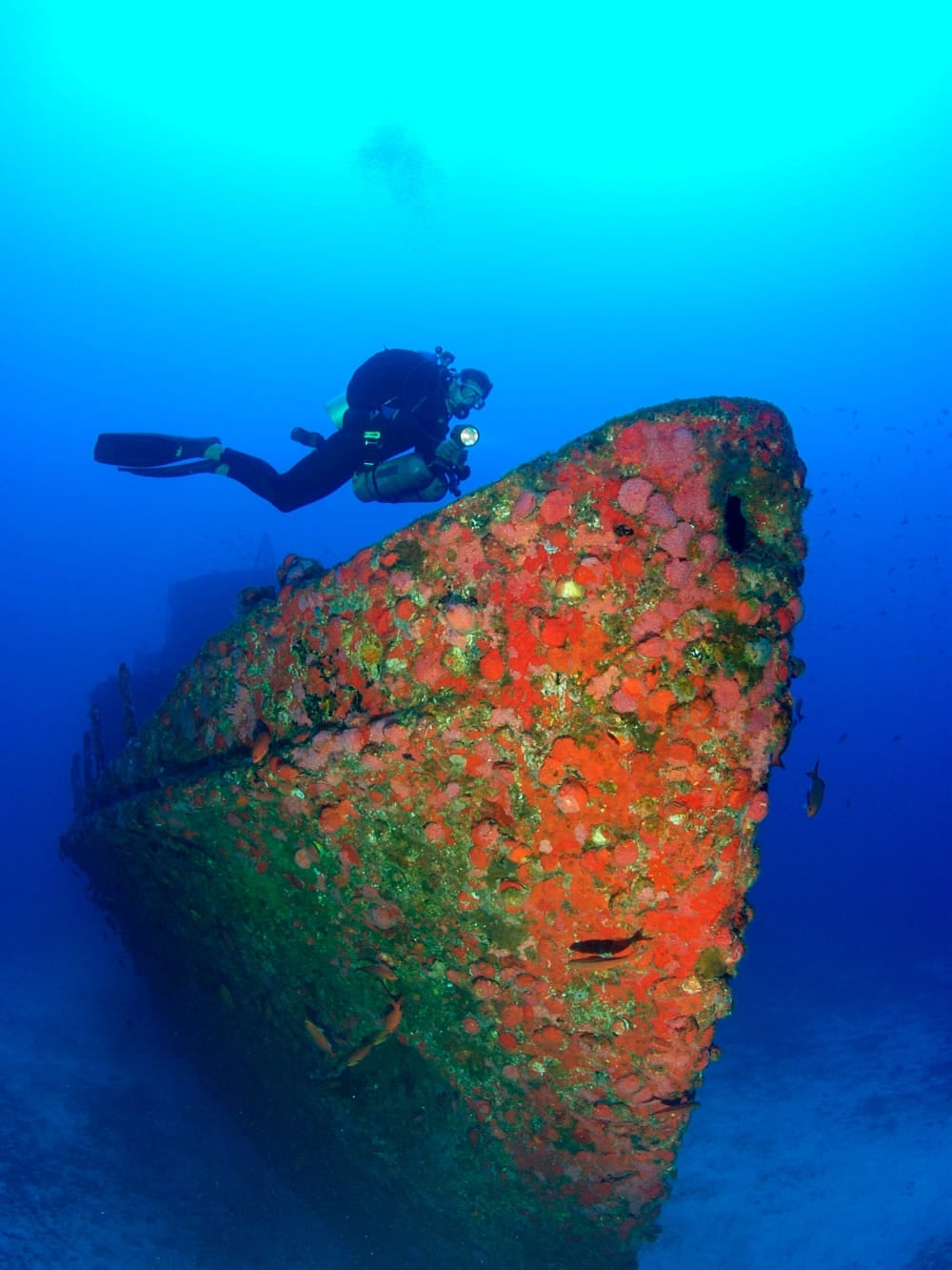 Dive in Fernando de Noronha Dive in Fernando de Noronha
