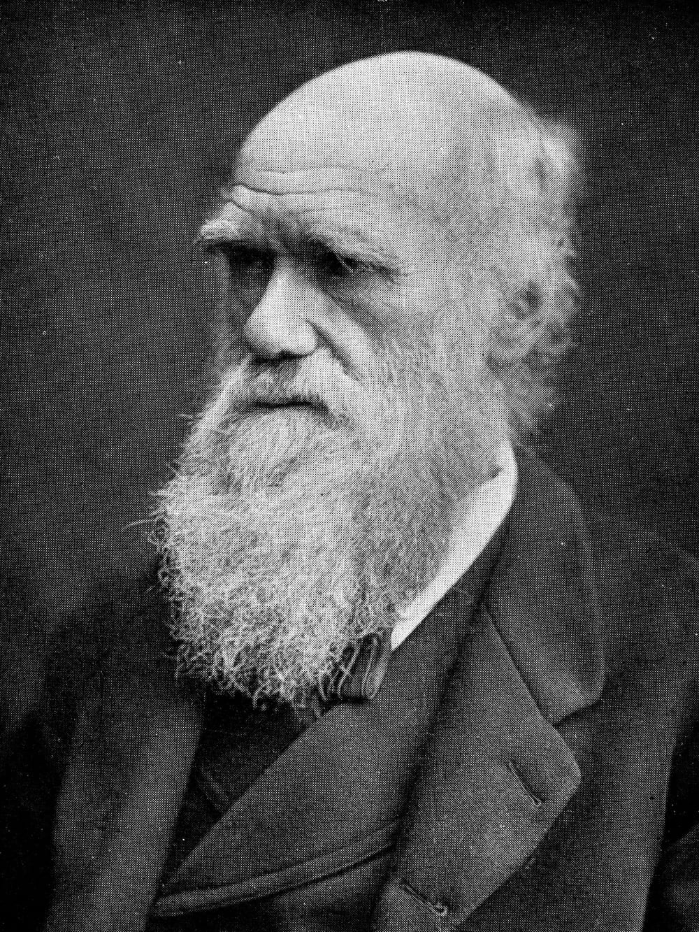 Charles Darwin Abrolhos Charles Darwin Abrolhos
