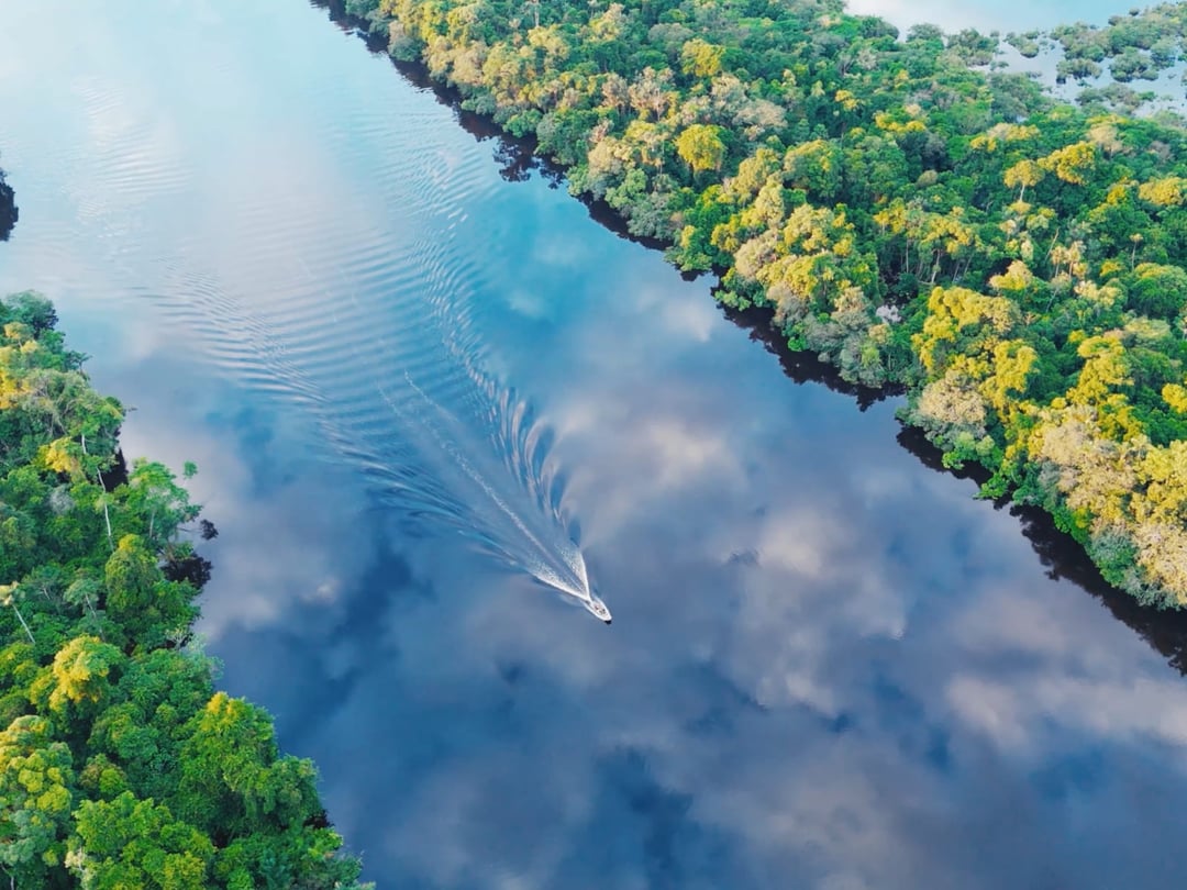 Travelers navigate the rivers and dense canopy of the Amazon Rainforest in Brazil Travelers navigate the rivers and dense canopy of the Amazon Rainforest in Brazil