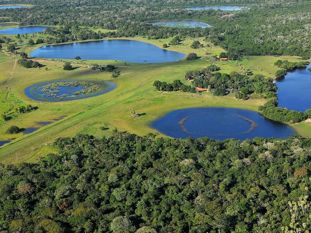 Aerial view showing the breathtaking natural lakes and green wetlands surrounding the Barranco Alto farm. Aerial view showing the breathtaking natural lakes and green wetlands surrounding the Barranco Alto farm.