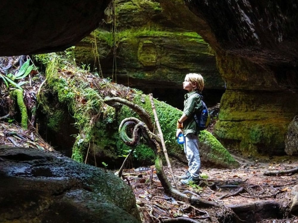 Young boy standing at the entrance of a mossy cave exploring the Amazon jungle. Young boy standing at the entrance of a mossy cave exploring the Amazon jungle.