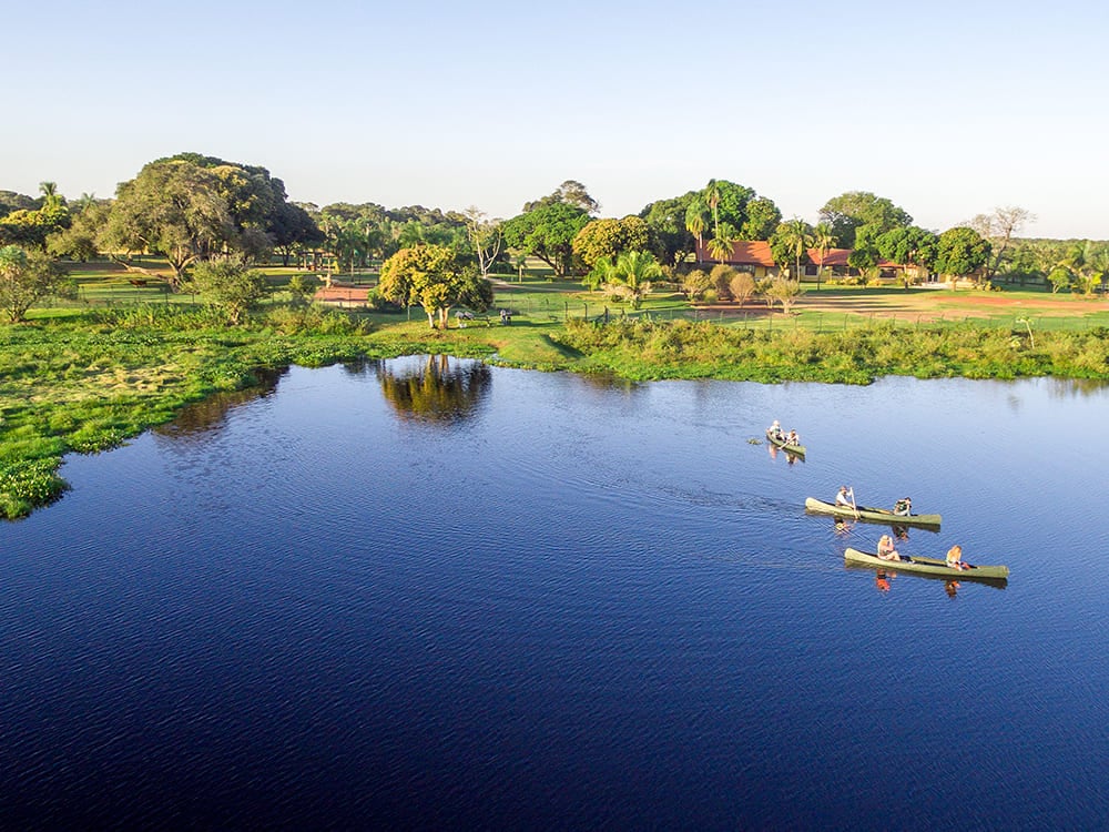 Tourists canoeing near an ecolodge, a sustainable activity for a Pantanal trip that combines adventure with nature preservation. Tourists canoeing near an ecolodge, a sustainable activity for a Pantanal trip that combines adventure with nature preservation.