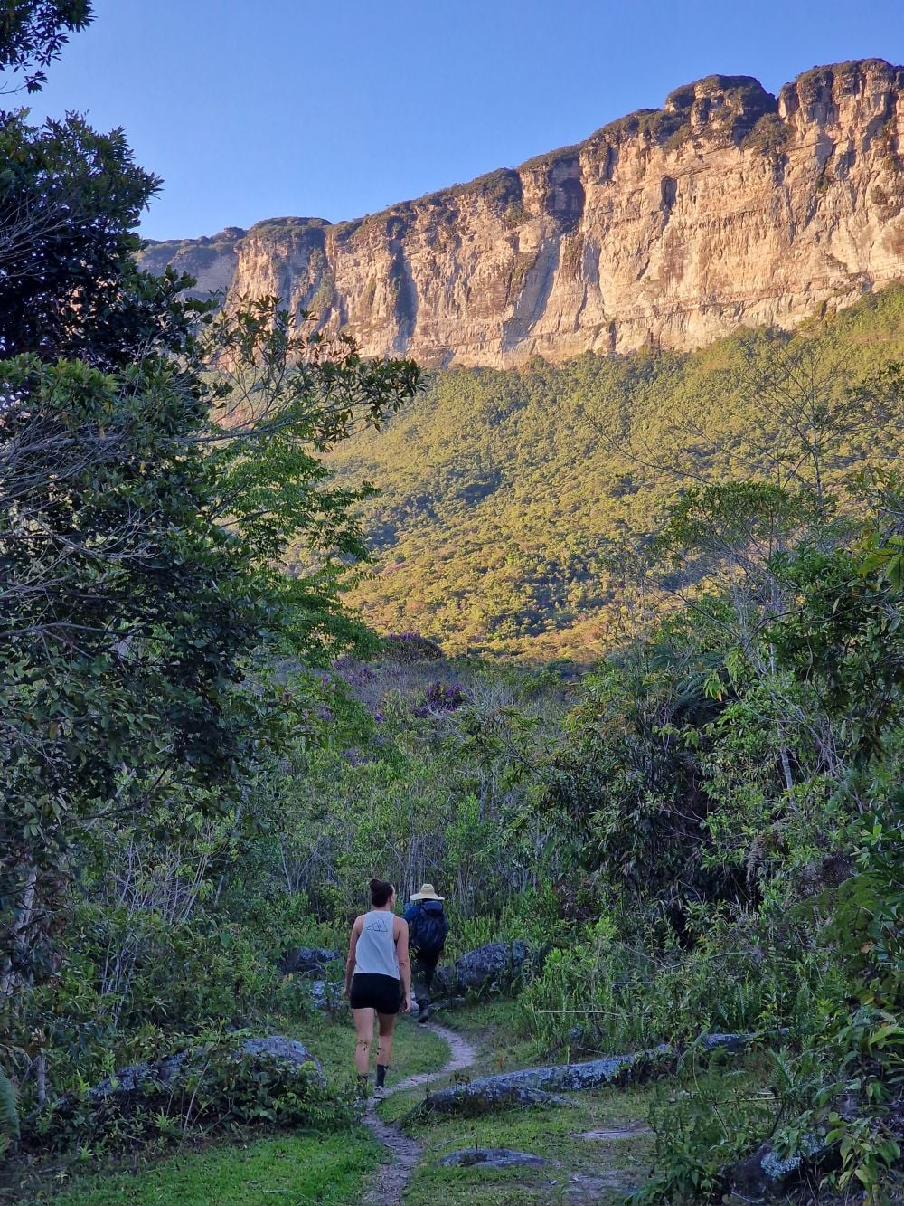 Two hikers walk along a narrow dirt path through lush green vegetation towards a massive, towering rock wall in Vale do Pati. Two hikers walk along a narrow dirt path through lush green vegetation towards a massive, towering rock wall in Vale do Pati.