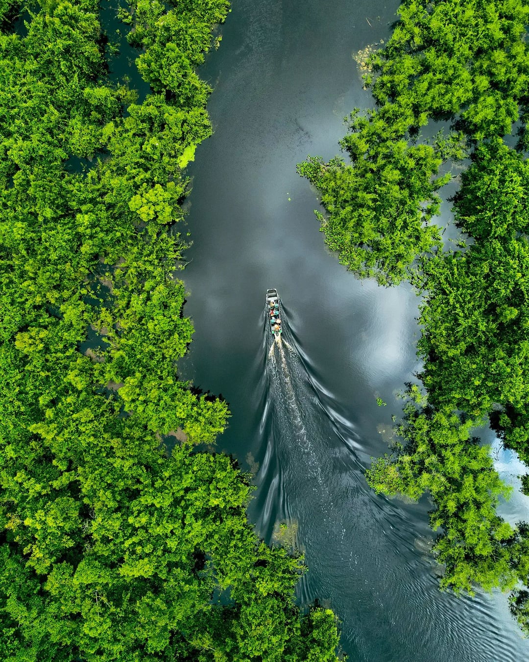 An aerial view of a boat navigating through lush green waterways during the wet season, the best time to visit the Pantanal for landscape photography. An aerial view of a boat navigating through lush green waterways during the wet season, the best time to visit the Pantanal for landscape photography.
