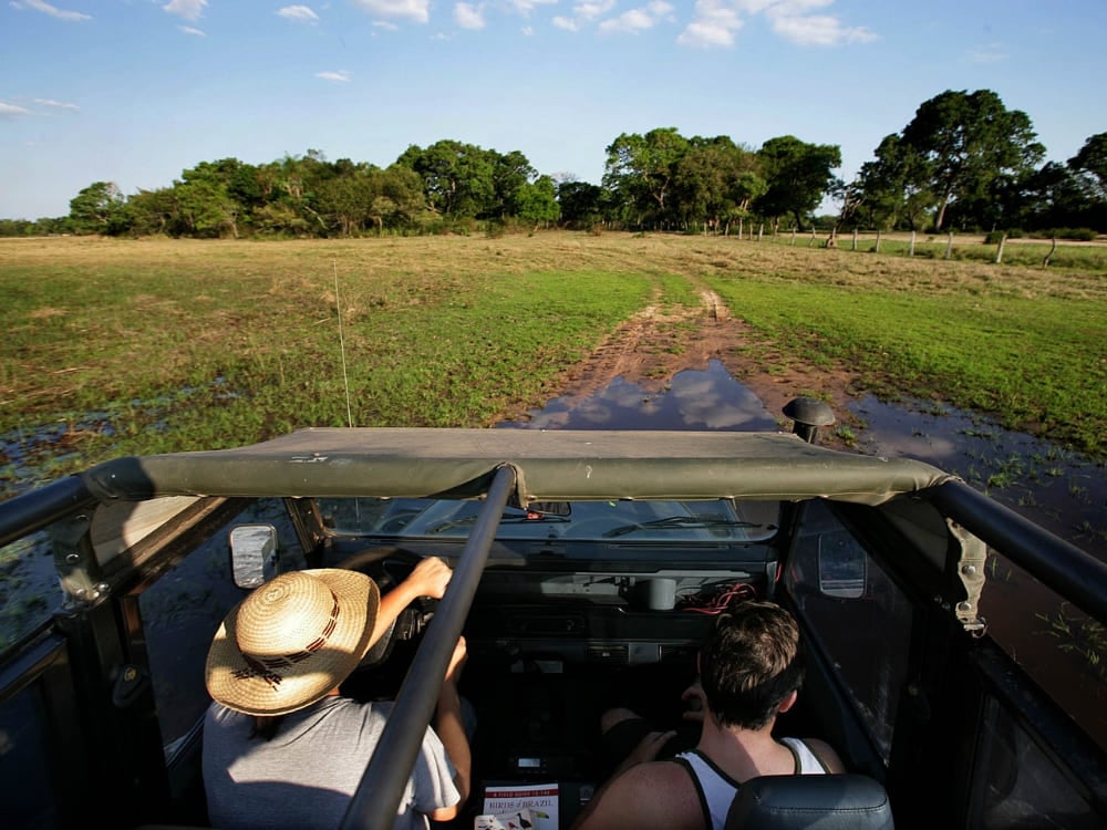 View from inside a jeep traversing wet terrain, typical of an authentic Pantanal safari adventure. View from inside a jeep traversing wet terrain, typical of an authentic Pantanal safari adventure.