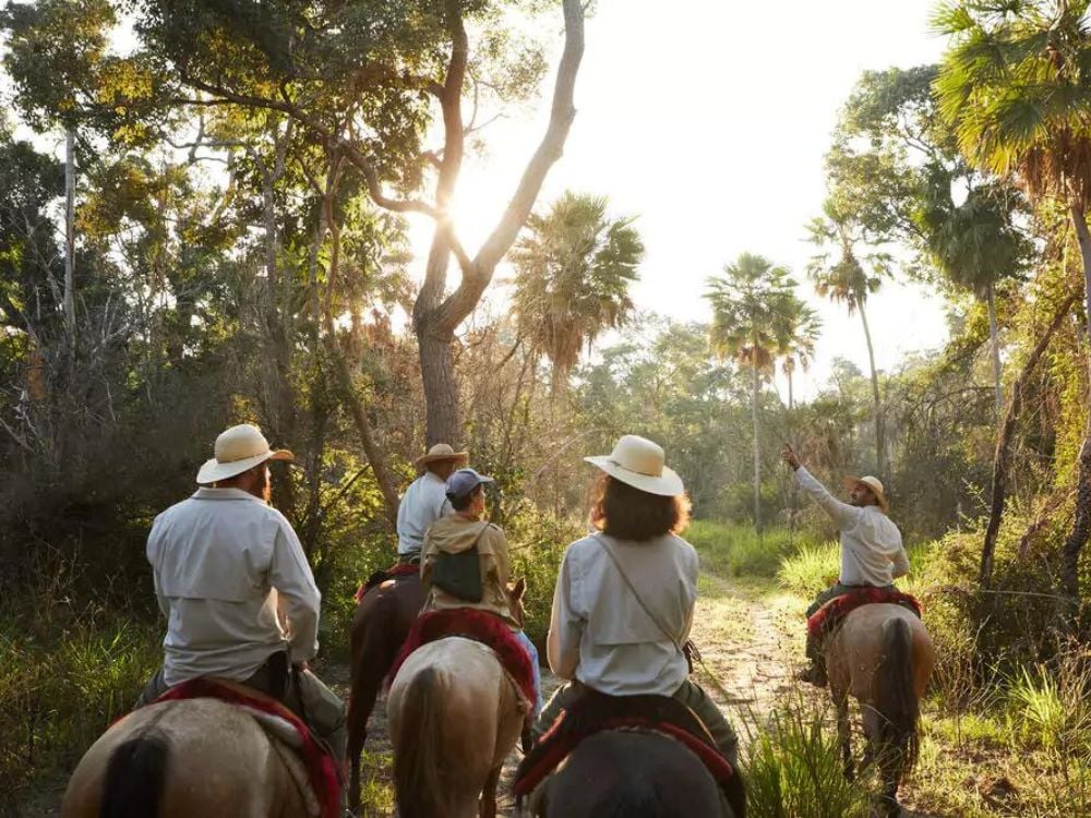 Group of tourists horseback riding through the Pantanal wetlands guided by local experts. Group of tourists horseback riding through the Pantanal wetlands guided by local experts.
