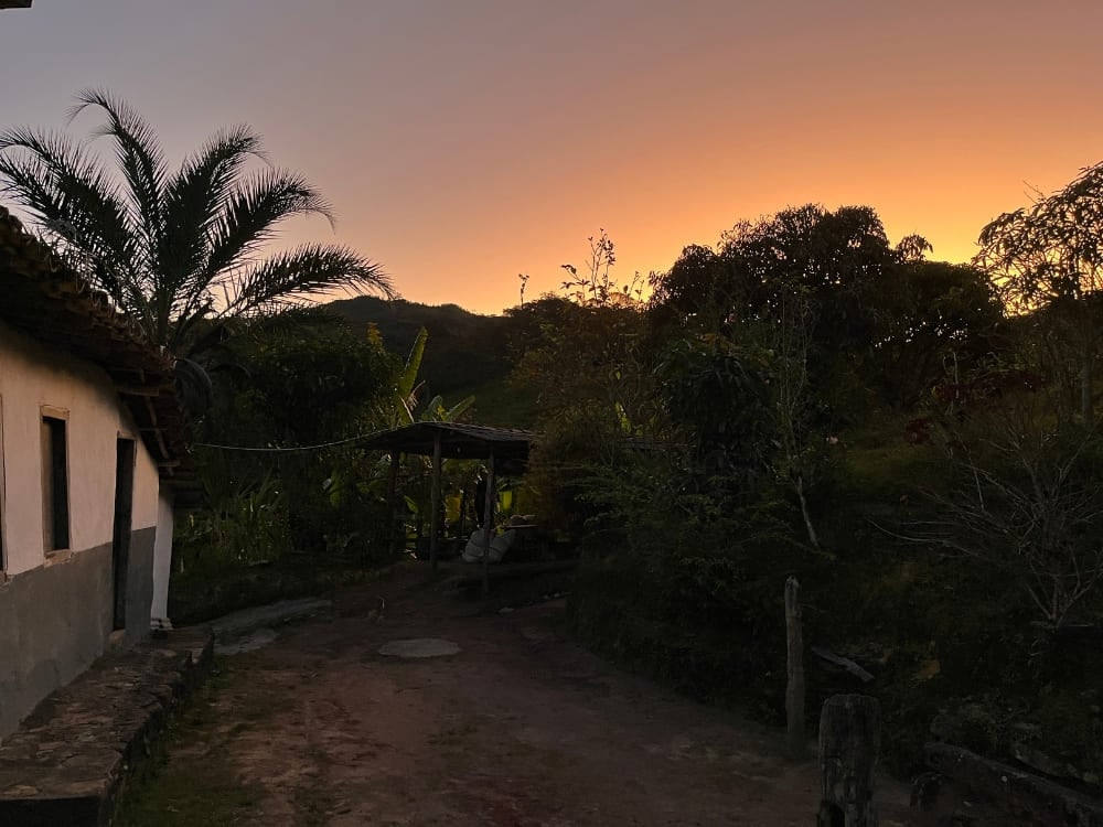 Silhouette of a local homestay and palm trees in Vale do Pati against a vibrant orange sunset. Silhouette of a local homestay and palm trees in Vale do Pati against a vibrant orange sunset.