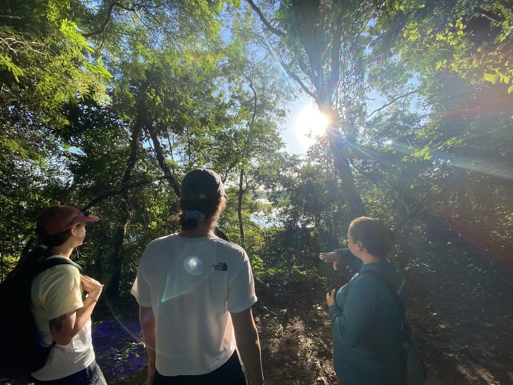 Three travelers guided through a dense forest path with sunlight filtering through the trees in the Pantanal Three travelers guided through a dense forest path with sunlight filtering through the trees in the Pantanal
