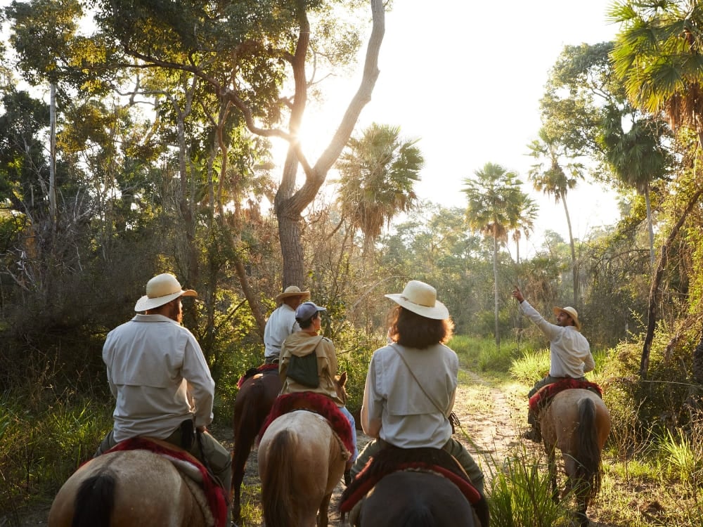 A group of travelers on horseback led by a guide through a sunlit forest trail in the Pantanal. A group of travelers on horseback led by a guide through a sunlit forest trail in the Pantanal.