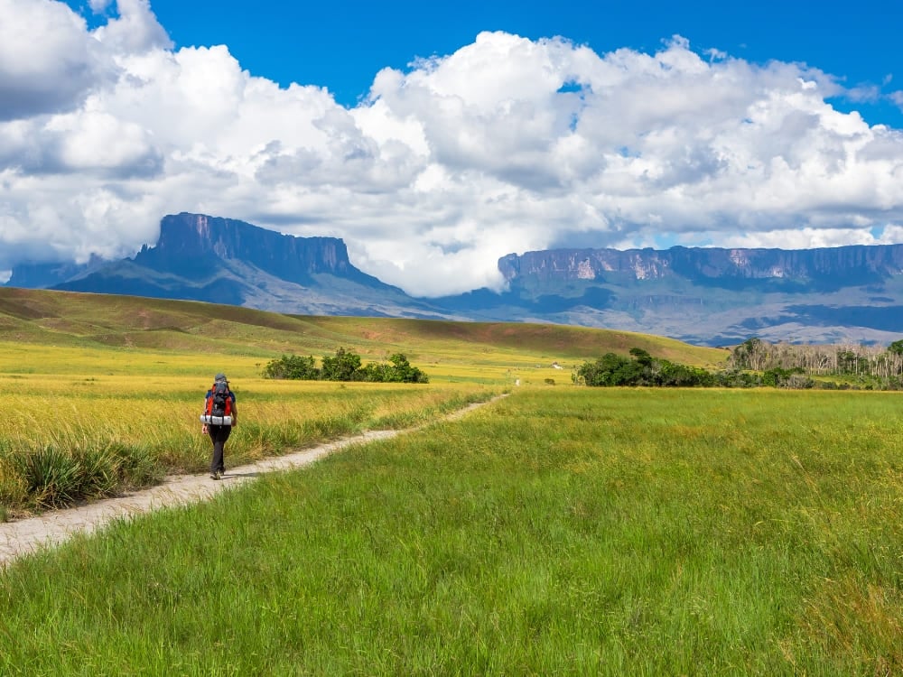 A backpacker hikes on a trail through a grassy savannah towards the majestic flat-top Mount Roraima. A backpacker hikes on a trail through a grassy savannah towards the majestic flat-top Mount Roraima.