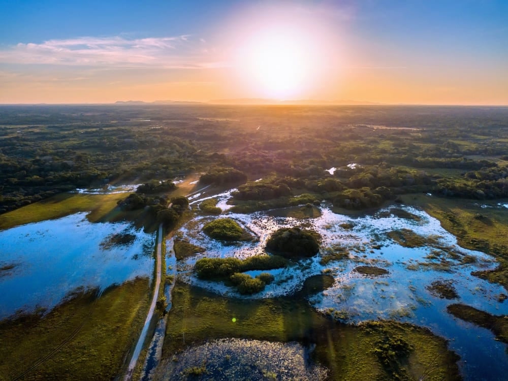 Panoramic aerial view of flooded plains, winding rivers, and green forests of Pantanal, Brazil under a bright sun. Panoramic aerial view of flooded plains, winding rivers, and green forests of Pantanal, Brazil under a bright sun.