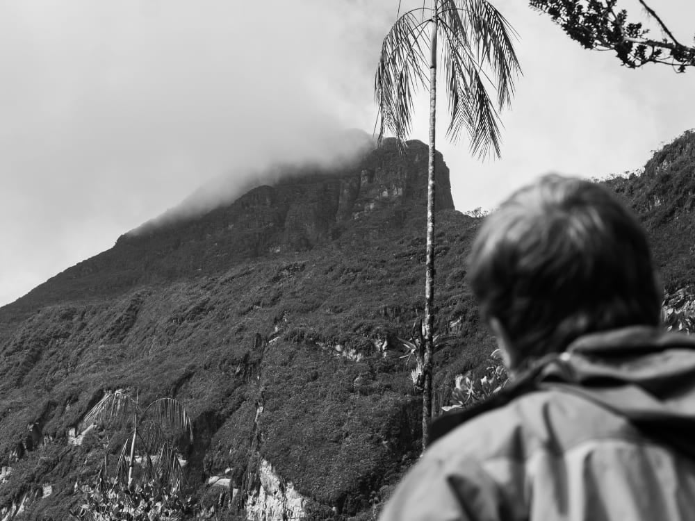 A hiker looks toward the mist-covered summit of Pico da Neblina, the highest peak in Brazil A hiker looks toward the mist-covered summit of Pico da Neblina, the highest peak in Brazil