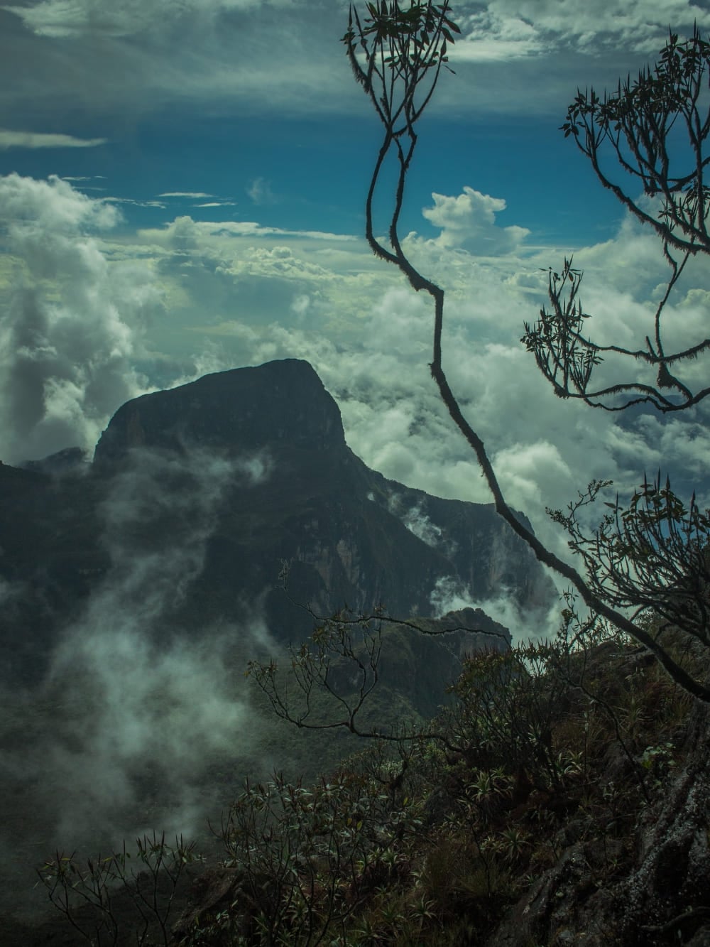 The dark, rocky peak of Pico da Neblina towering above a thick layer of white clouds in the Amazon Rainforest. The dark, rocky peak of Pico da Neblina towering above a thick layer of white clouds in the Amazon Rainforest.