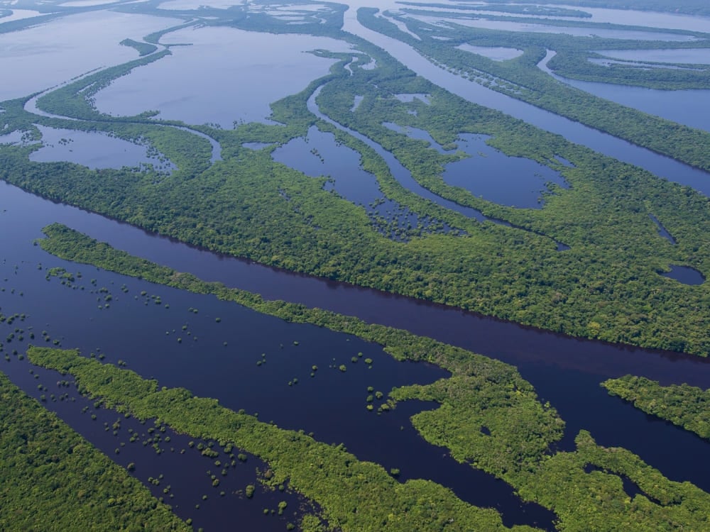 Aerial view of the Anavilhanas National Park showcasing densely vegetated islands cut by the waters of the Negro River. Aerial view of the Anavilhanas National Park showcasing densely vegetated islands cut by the waters of the Negro River.
