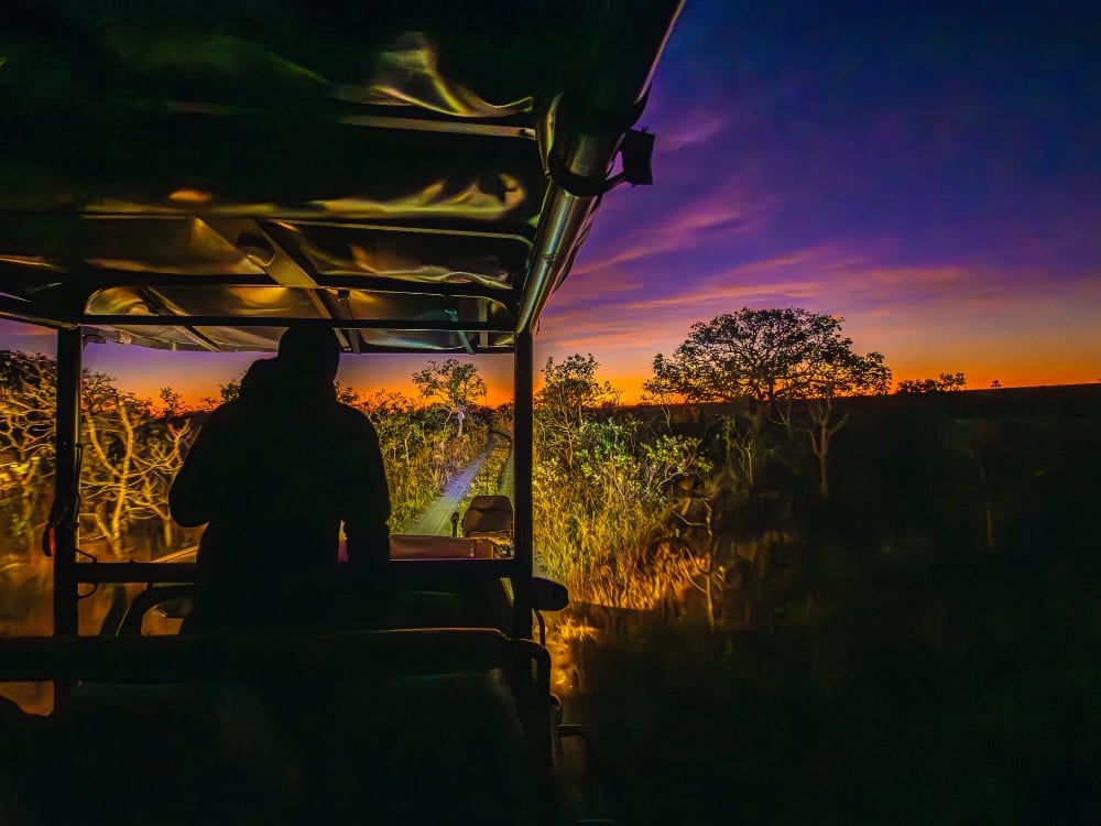 he silhouette of a passenger in a safari vehicle admiring a vibrant purple and orange sunset skyline in the Cerrado. he silhouette of a passenger in a safari vehicle admiring a vibrant purple and orange sunset skyline in the Cerrado.