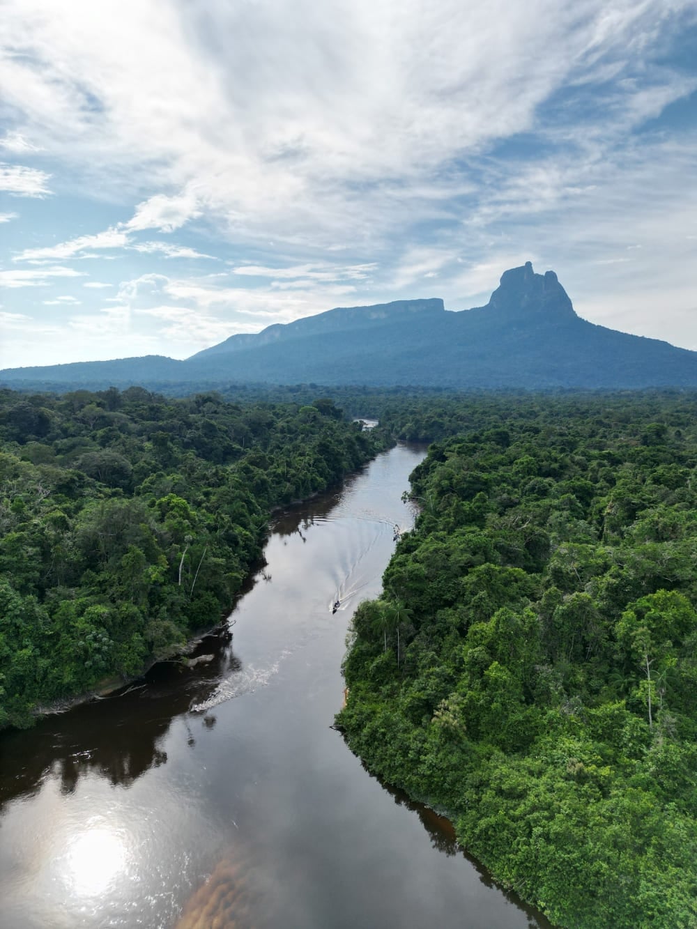 Aerial view of a dark river winding through the vast Amazon Rainforest, with Pico da Neblina in the background Aerial view of a dark river winding through the vast Amazon Rainforest, with Pico da Neblina in the background