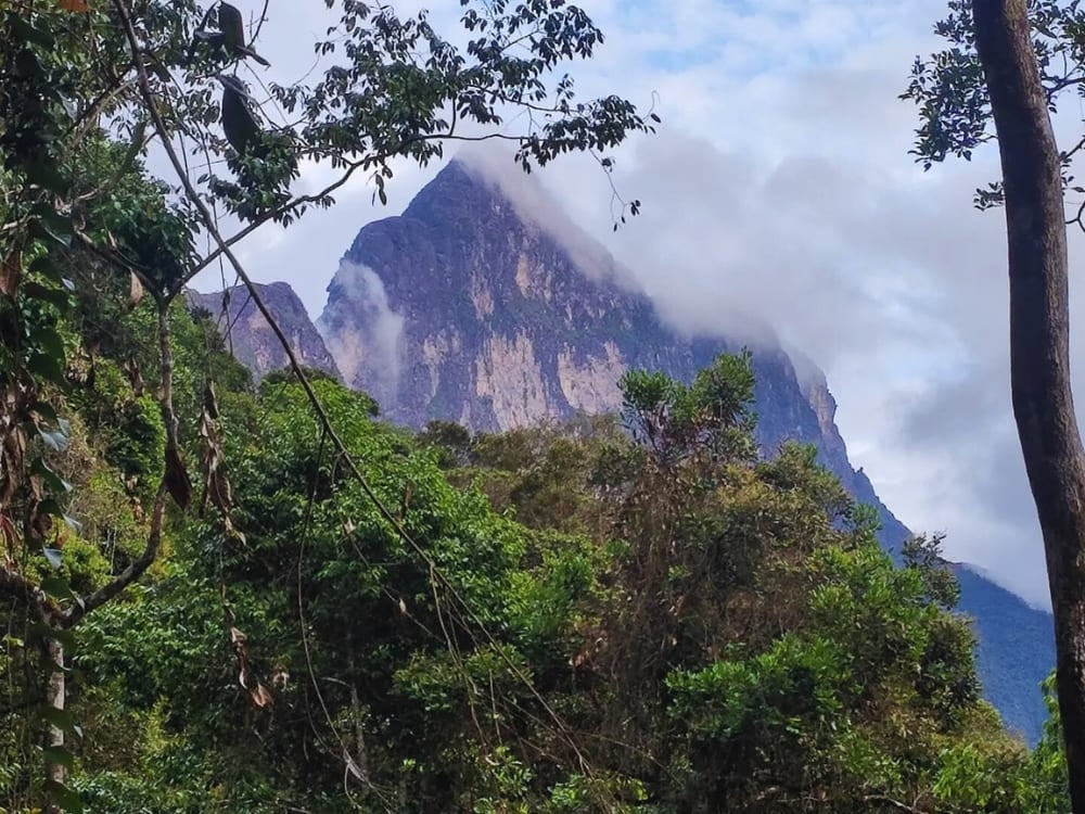 The towering mountain of Pico da Neblina viewed through the dense, lush green canopy of the Amazon Rainforest. The towering mountain of Pico da Neblina viewed through the dense, lush green canopy of the Amazon Rainforest.