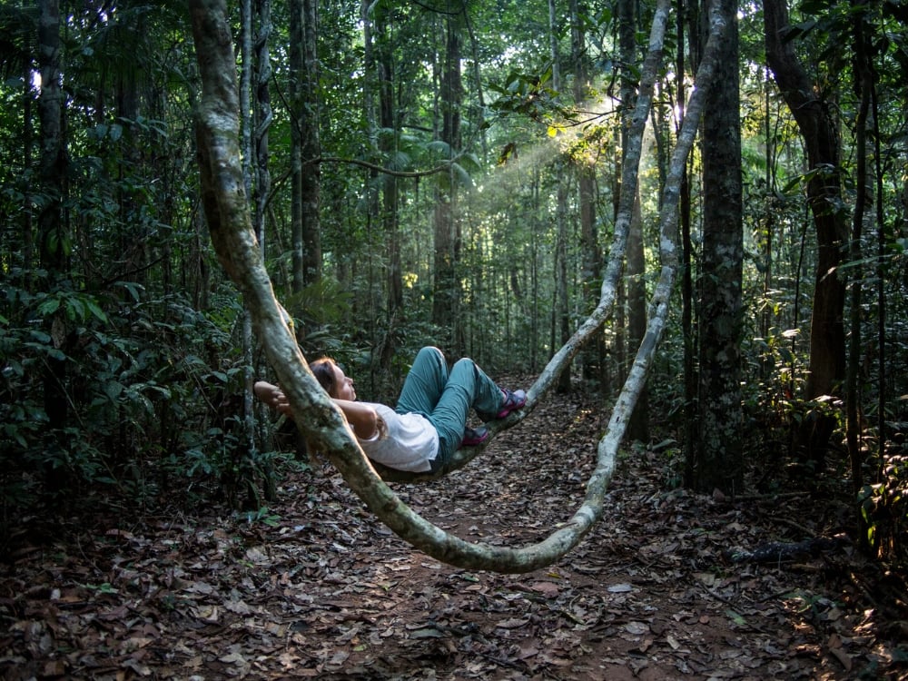 Tourist relaxing in a vine hammock within the Amazon rainforest during a Brazil eco tour. Tourist relaxing in a vine hammock within the Amazon rainforest during a Brazil eco tour.