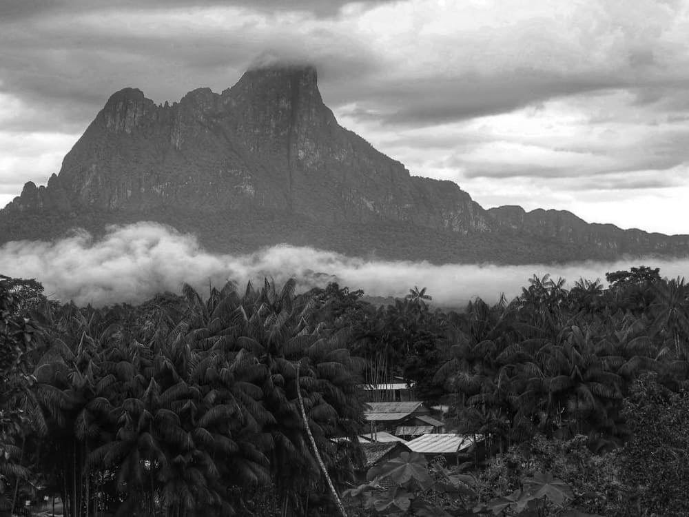 A dramatic view of Pico da Neblina partially obscured by thick, low-hanging clouds rising above the jungle canopy. A dramatic view of Pico da Neblina partially obscured by thick, low-hanging clouds rising above the jungle canopy.