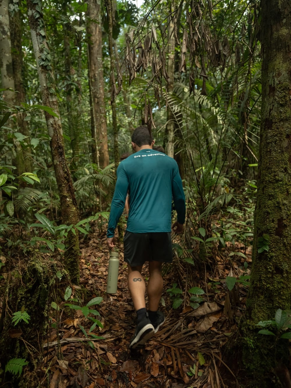 Tourist walking along a dense trail in the Amazon rainforest in Brazil. Tourist walking along a dense trail in the Amazon rainforest in Brazil.