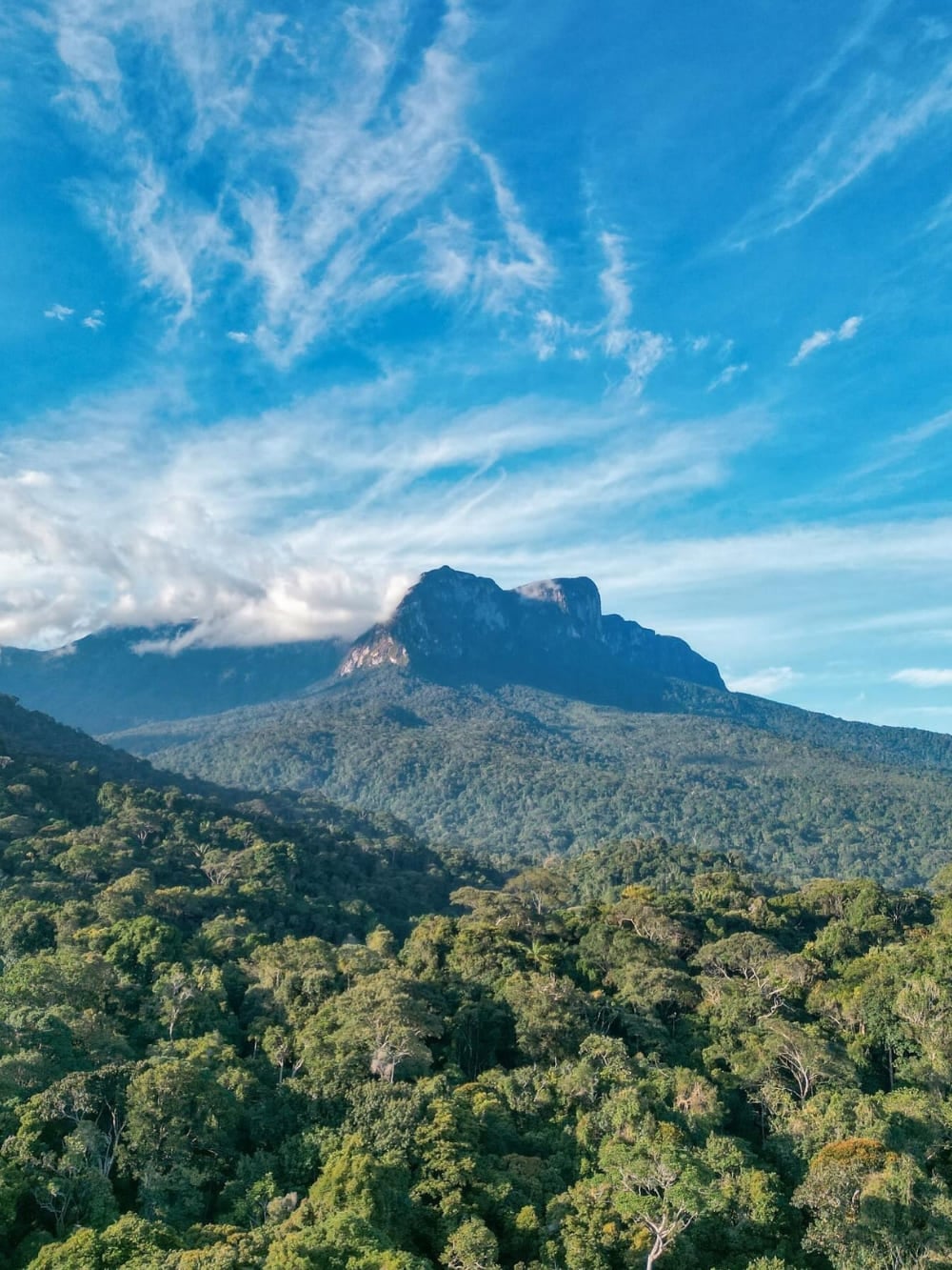 The massive peak of Pico da Neblina rising above an endless green expanse of Amazonian trees under a blue sky. The massive peak of Pico da Neblina rising above an endless green expanse of Amazonian trees under a blue sky.