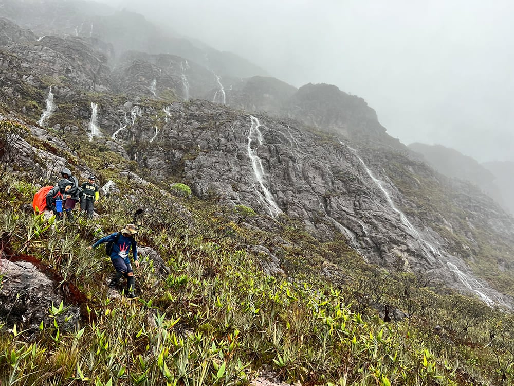 A group of trekkers navigating a steep, rocky, and wet mountain slope with small waterfalls during the expedition. A group of trekkers navigating a steep, rocky, and wet mountain slope with small waterfalls during the expedition.