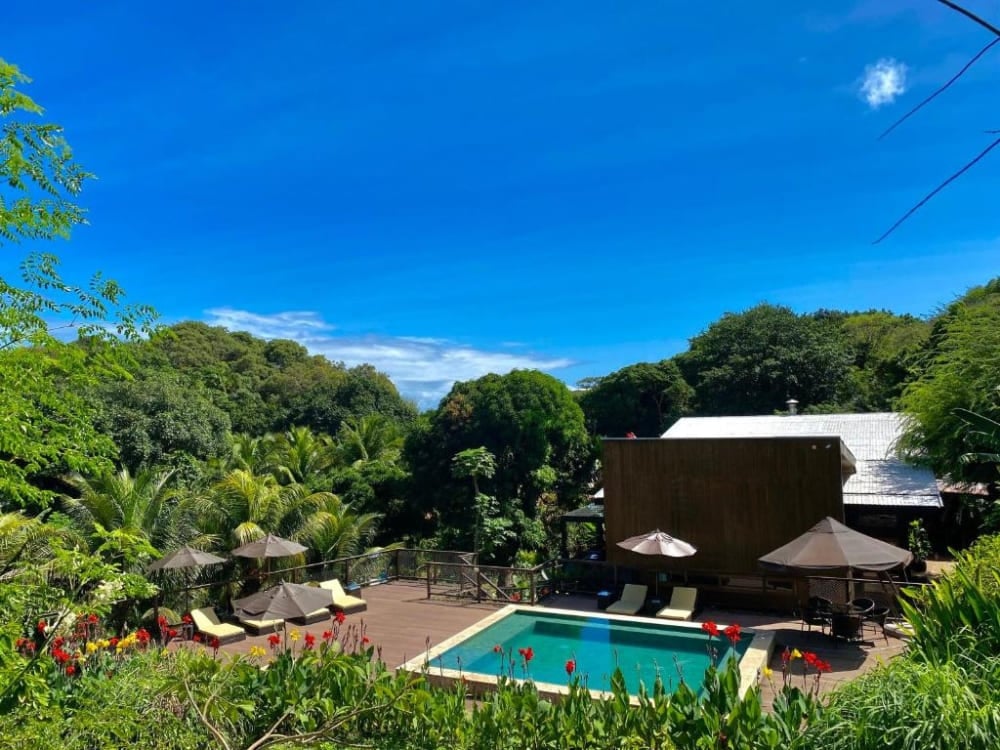 Swimming pool surrounded by dense tropical forest and lounge chairs at a sustainable pousada in Fernando de Noronha. Swimming pool surrounded by dense tropical forest and lounge chairs at a sustainable pousada in Fernando de Noronha.