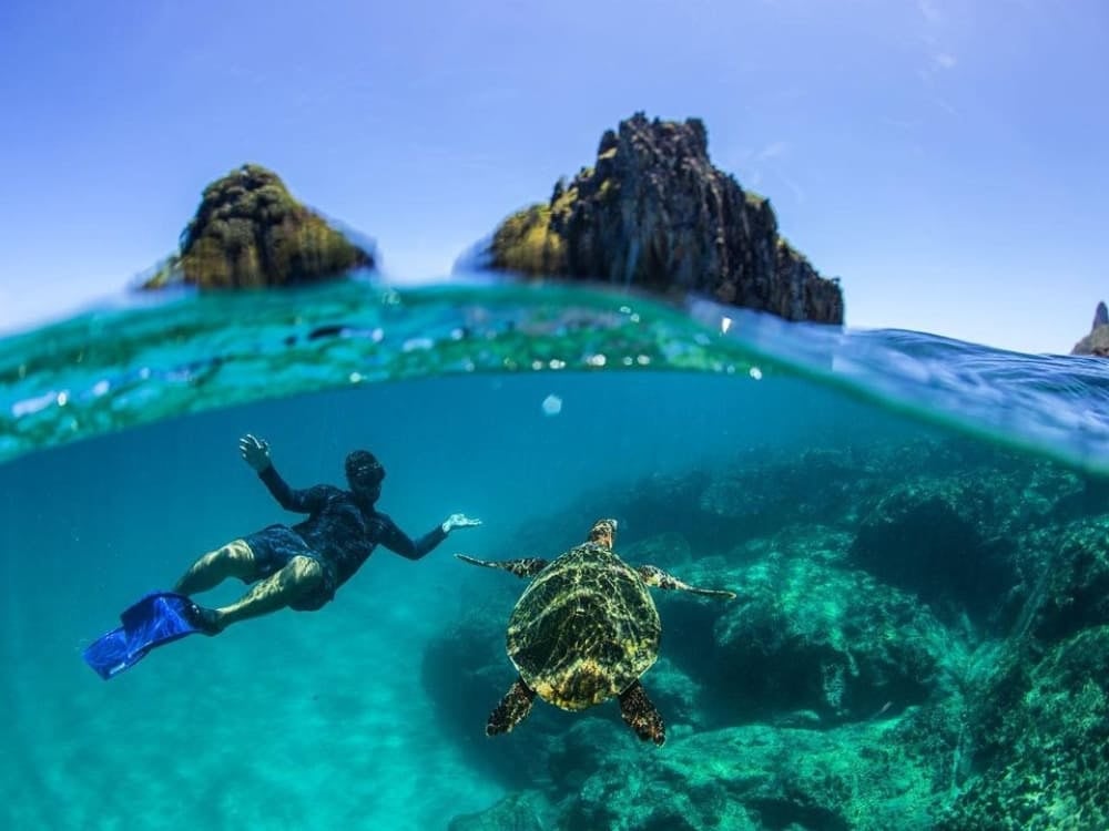 Snorkeler swimming with a sea turtle in the clear marine waters of Fernando de Noronha National Park. Snorkeler swimming with a sea turtle in the clear marine waters of Fernando de Noronha National Park.