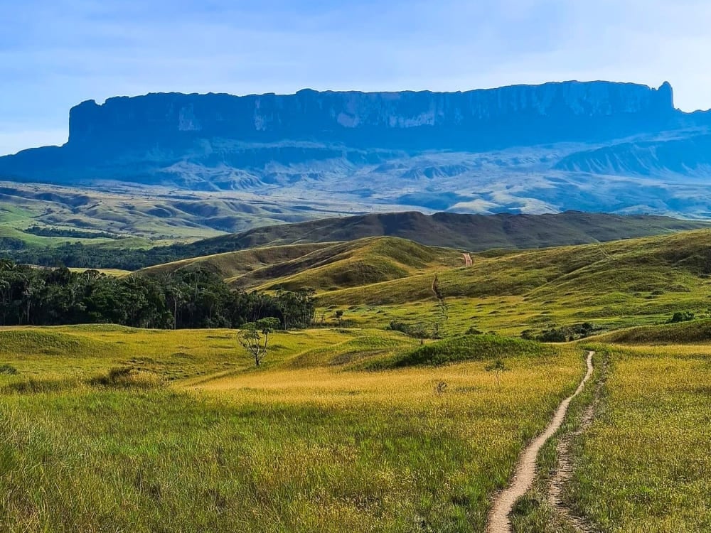 Hiking trail leading through the savanna towards the towering cliffs of Mount Roraima National Park. Hiking trail leading through the savanna towards the towering cliffs of Mount Roraima National Park.