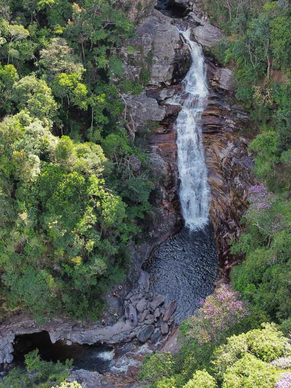 An aerial view of a powerful waterfall dropping down stepped rocks into a dark, tea-colored pool, surrounded by dense green forest. An aerial view of a powerful waterfall dropping down stepped rocks into a dark, tea-colored pool, surrounded by dense green forest.