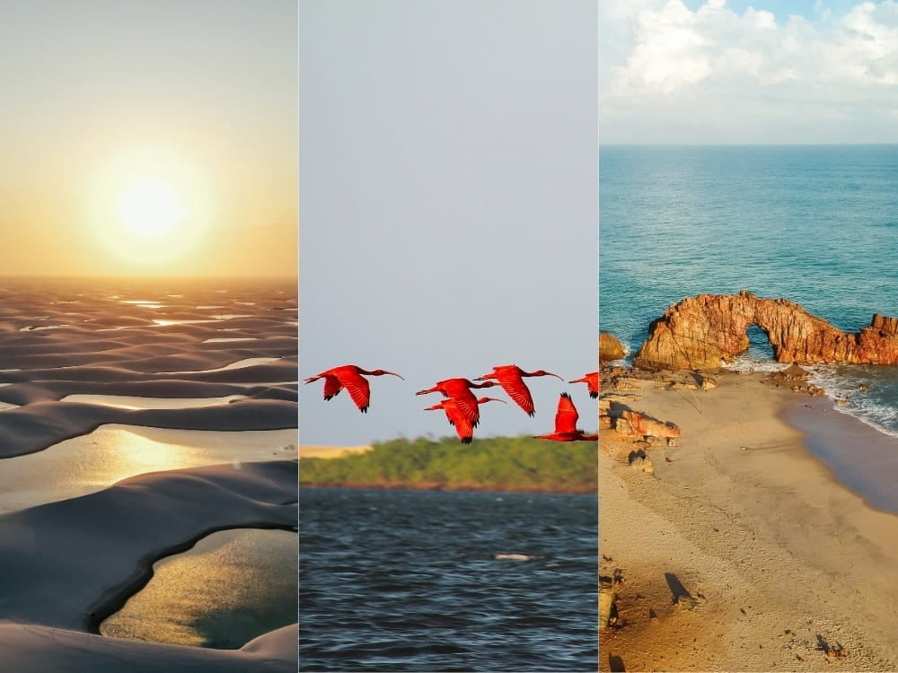 Three vertical panels showing red ibises flying, vast sand dunes at sunset, and the Pedra Furada rock formation on the beach. Three vertical panels showing red ibises flying, vast sand dunes at sunset, and the Pedra Furada rock formation on the beach.