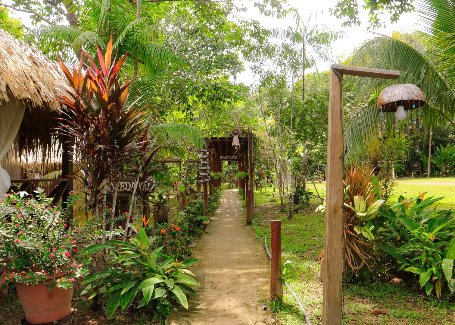 The kind of walk where you slow down without being asked. A shaded garden pathway at Amazon Turtle Lodge lined with colourful tropical plants, thatched-roof bungalows, and wooden archways bearing Portuguese-language mindfulness signs reading 'Gratidão'