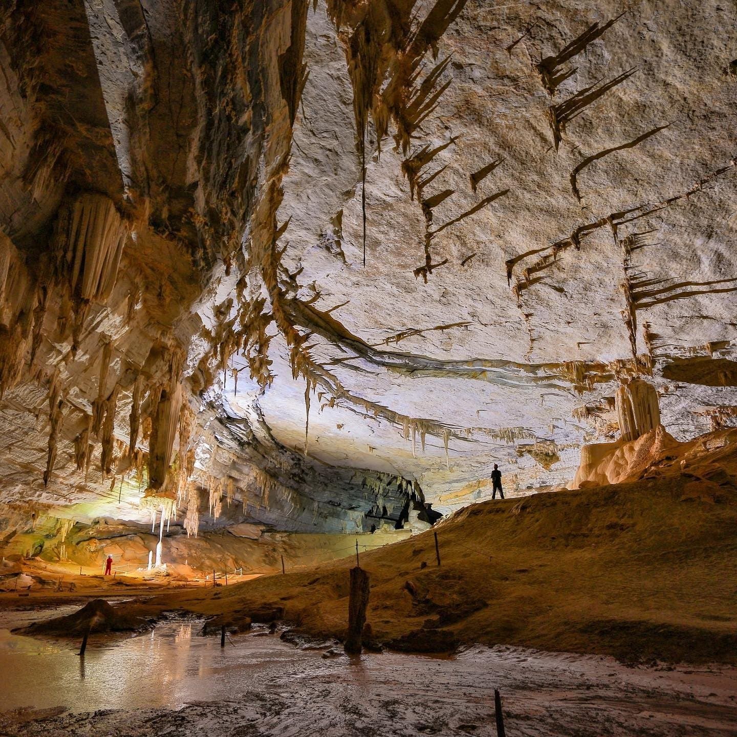 The cave does the talking; you just stand there and take it in. Two tiny human silhouettes stand inside the vast cathedral-like chamber of a limestone cave on a Chapada Diamantina trip, dwarfed by stalactites hanging from the arched ceiling and a shallow reflective pool on the cave floor