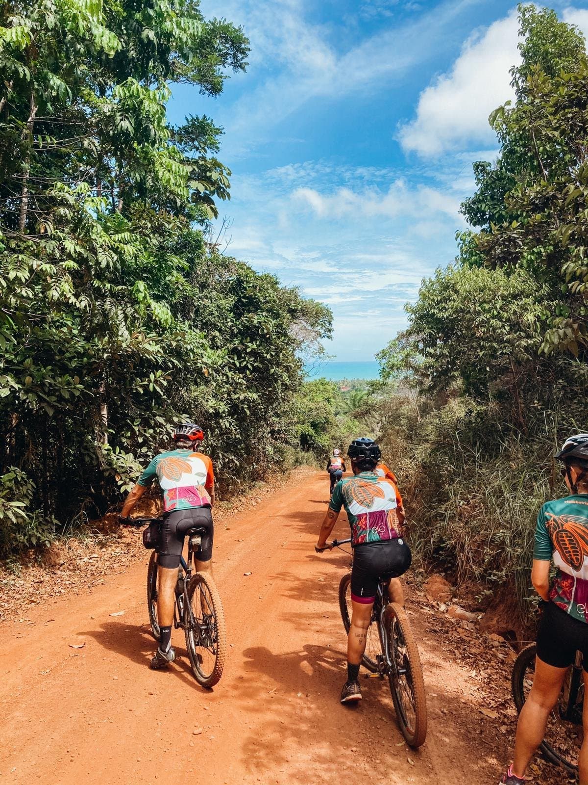 Red dirt, green canopy, blue ocean, the reward is visible before you even arrive. Group of cyclists in matching jerseys riding mountain bikes along a red dirt road lined with Atlantic Forest trees, with a glimpse of the ocean on the cycling Bahia cocoa route