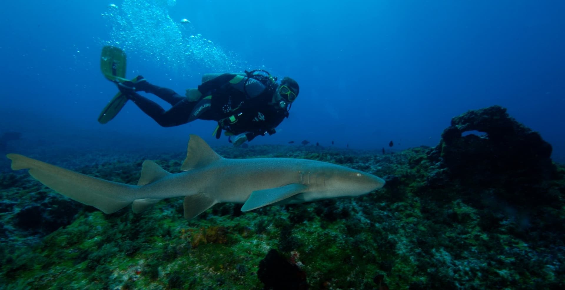 2-Day Fernando de Noronha Diving Package 2-Day Fernando de Noronha Diving Package