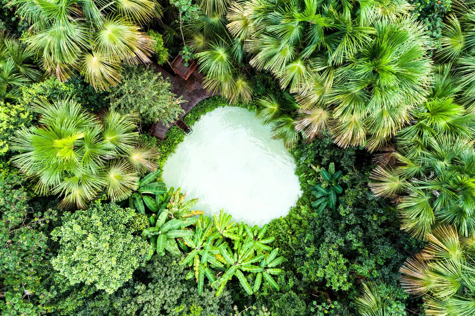 From up here, the spring looks like it just appeared among the palms, because, really, it did. Photo: FG Trade Aerial view of a milky-white fervedouro natural spring pool surrounded by buriti palms and dense cerrado vegetation during a Jalapão trekking journey