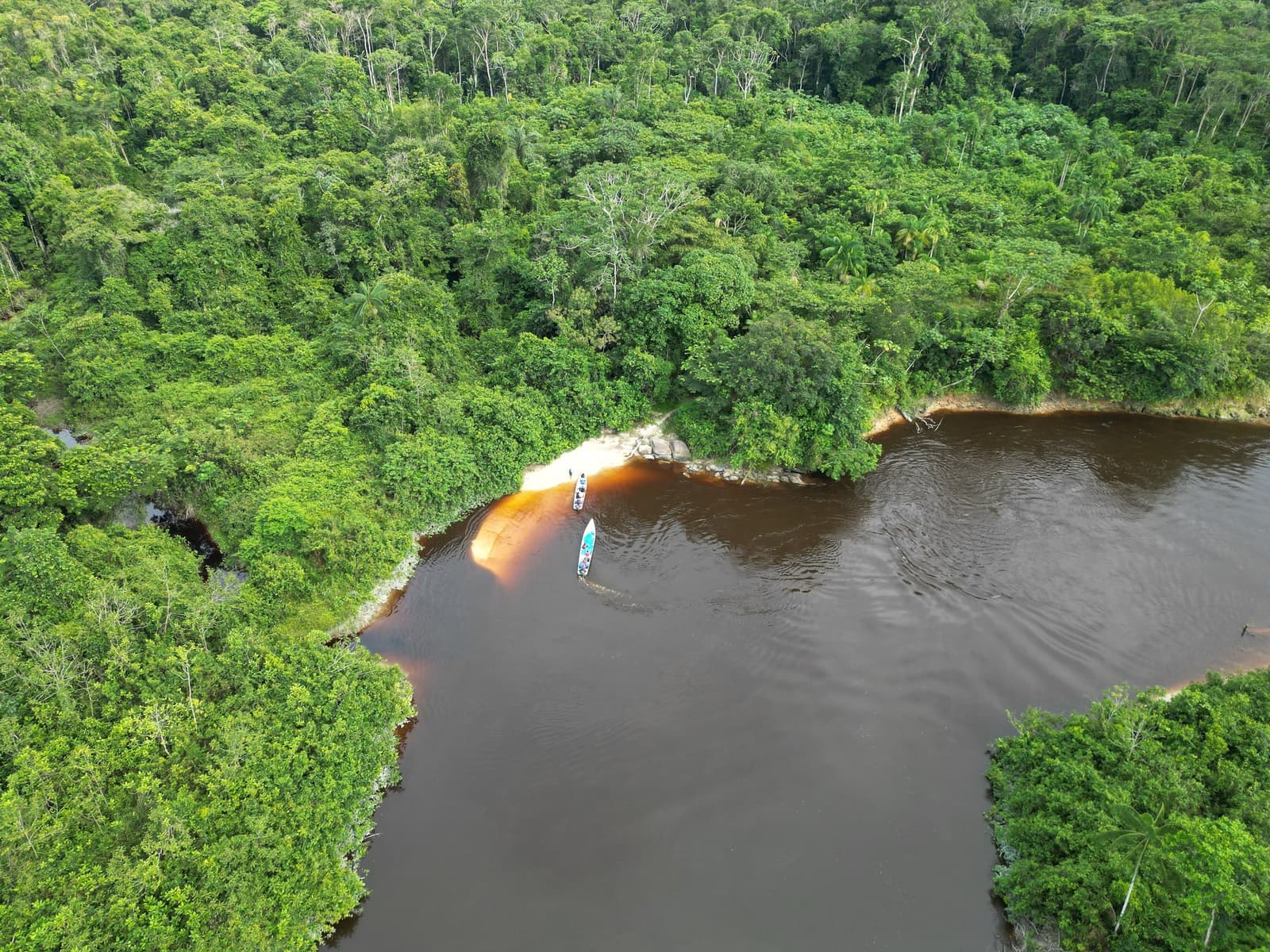 Two small canoes, one vast forest, the river is the only road from here. Aerial view of two motorized canoes navigating a dark tannin-stained river through dense Amazon rainforest during a Pico da Neblina Expedition, with a small sandy bank visible mid-frame