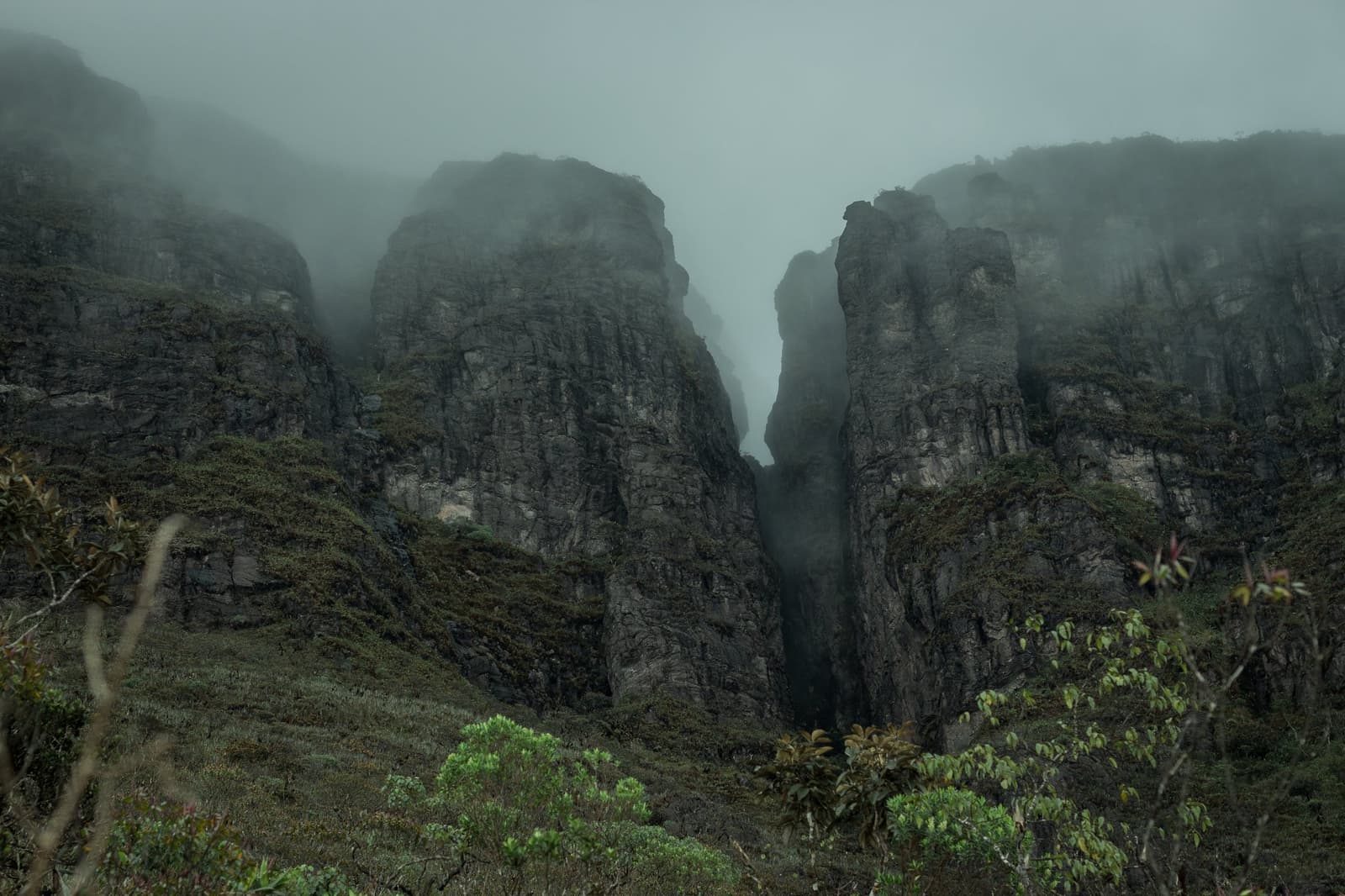 The mountain keeps its secrets close. Fog is part of the deal. Twin vertical rock pillars split by a deep narrow cleft rise through dense cloud on the Pico da Neblina Expedition, with low scrubby highland vegetation in the foreground