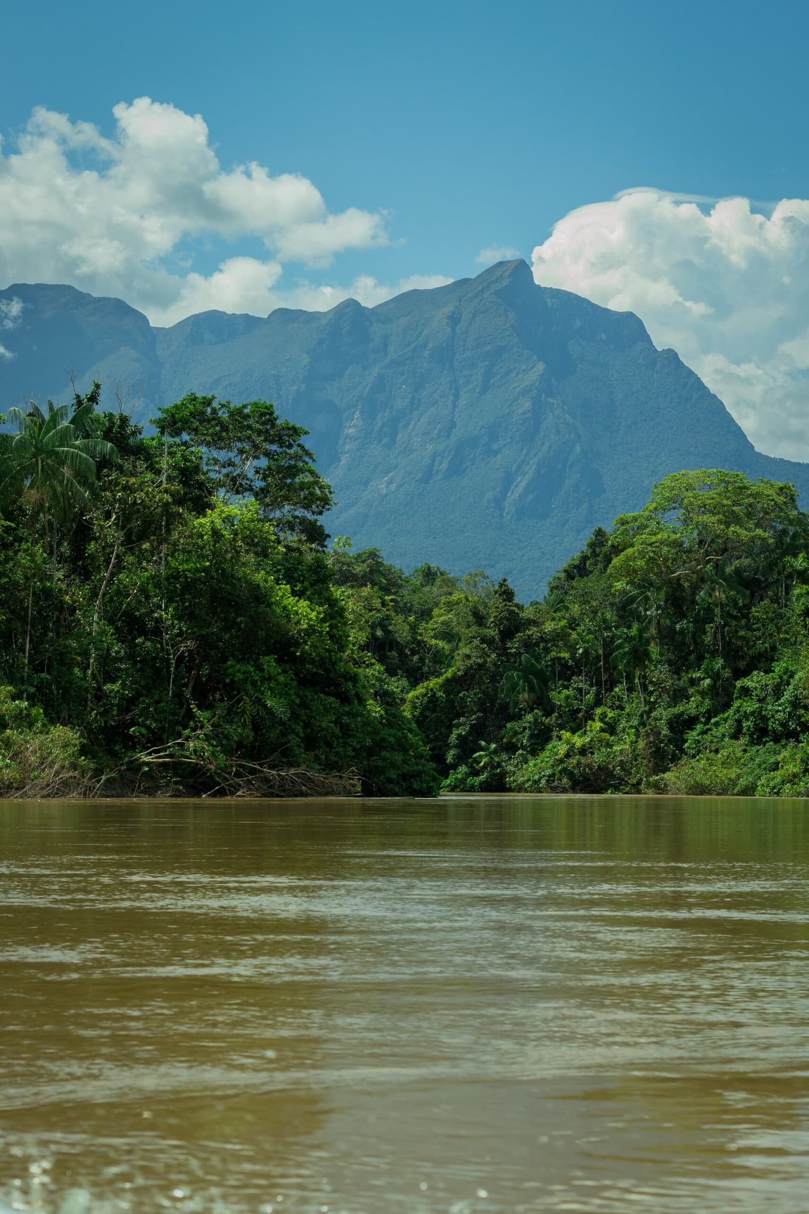 Yaripo in the distance, the river right under you. This is how the adventure announces itself. A wide, sediment-rich river reflects green light as dense Amazon rainforest lines both banks, with a tall, sharply peaked mountain rising behind the canopy under a partly cloudy blue sky — a dramatic landscape on the Pico da Neblina Expedition.