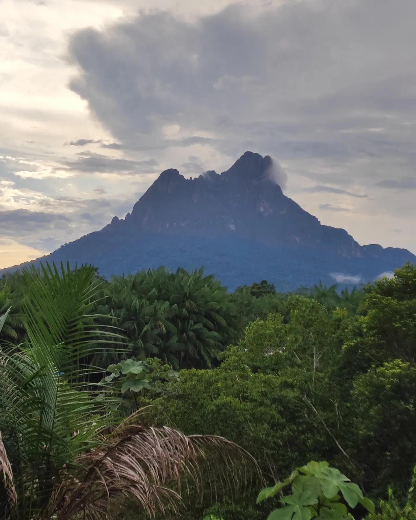 Cloud rolling in, mountain unmoved. Some peaks just have that attitude. Jagged rocky peak of the Pico da Neblina Expedition rising above a dense Amazon rainforest canopy under a dramatic cloudy sky at dusk