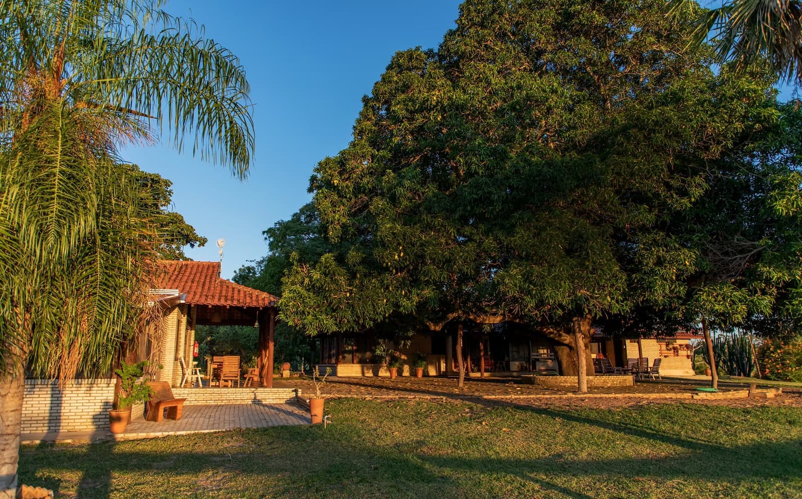A slow sunset and good shade, the lodge sets the pace before the wildlife does. Brick lodge buildings shaded by large mature trees on a green lawn at golden-hour light, part of a southern pantanal safari base camp with a covered terrace and wooden chairs