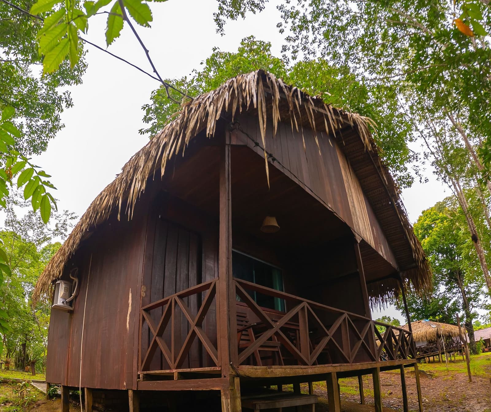 Your home for the next few nights, deep in the forest. A round wooden bungalow with a wide palm-thatch roof at Amazon Turtle Lodge, set among tall rainforest trees with a wraparound veranda and cross-rail balustrade