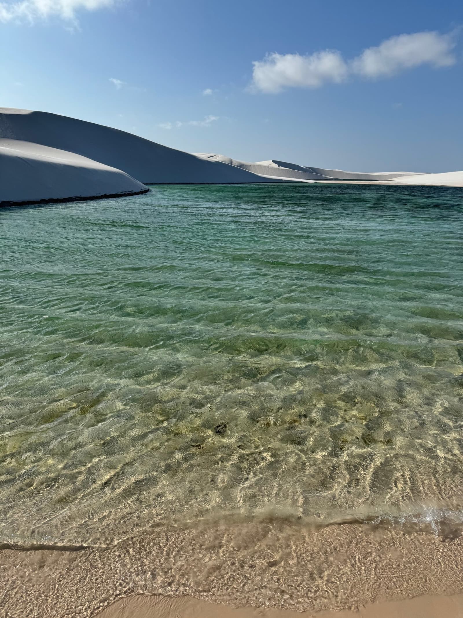 Cold, clear, and completely earned after a hike across the dunes. Crystal-clear green water of a freshwater lagoon lapping a sandy shore during a Lençóis Maranhenses hike, with towering white sand dunes curving along the far bank under a blue sky