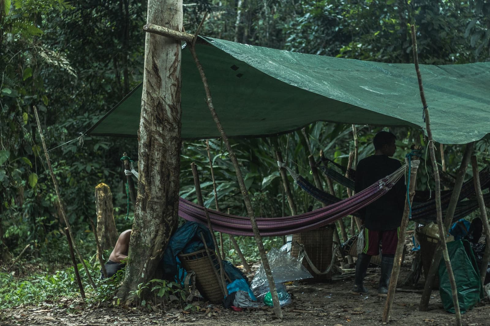 Simple shelter, deep forest. This is what comfort looks like by day five. Travelers resting in hammocks under a green tarp shelter rigged between wooden poles in the dense rainforest, with backpacks and wicker baskets on the ground — a typical Pico da Neblina Expedition camp setup