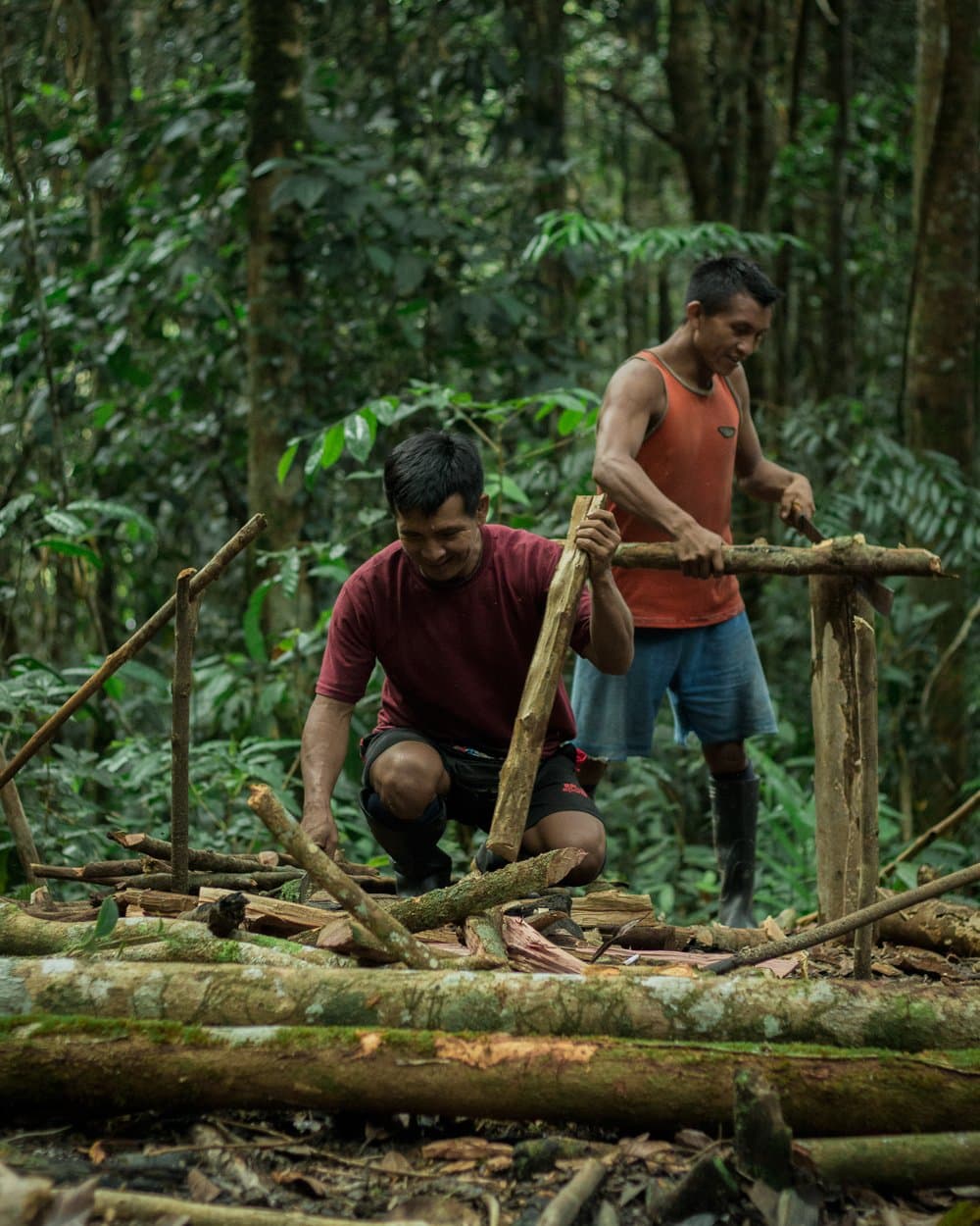 Camp doesn't build itself. These two are well ahead of the rain. Two men building a wooden camp structure from cut branches and logs during the Pico da Neblina Expedition, surrounded by dense Amazon rainforest undergrowth